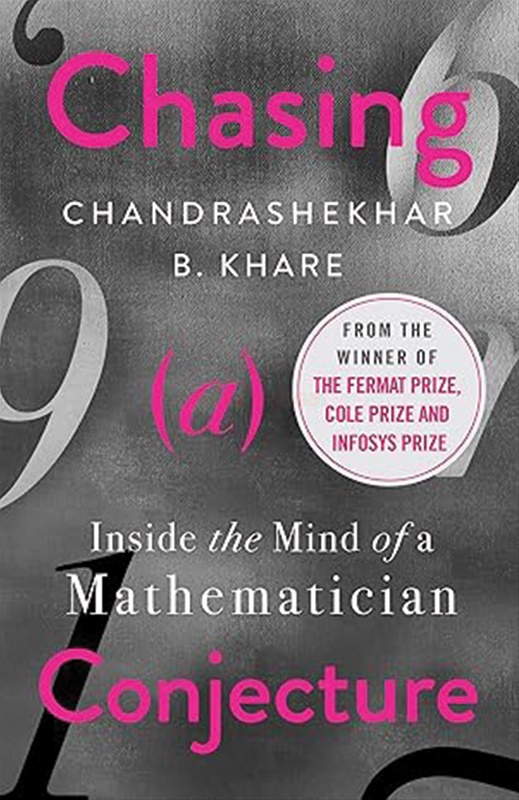 Chasing A Conjecture