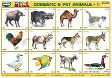 Pick 'n' Stick Domestic And Pet Animals - 1 - Navneet Education (India)  Limited 
