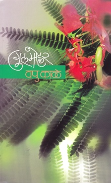 Gulmohar