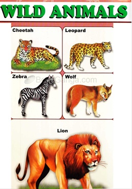 Wild Animals Chart