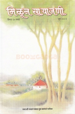 Milun Saryajani June 2002 - मिळून साऱ्याजणी जून २००२