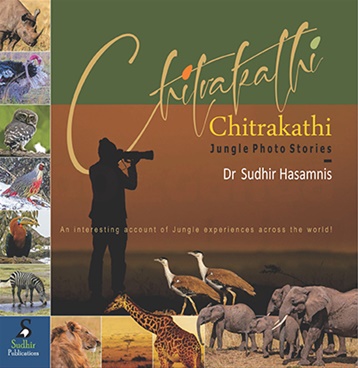 Chitrakathi Jungle Photo Stories