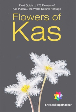 Flowers Of Kas