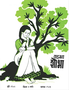 Vangmay Shobha ( July 1981 ) - वाड्मय शोभा ( जुलै १९८१ )