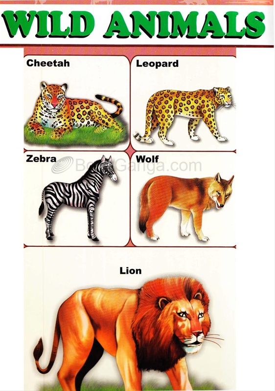 Educational Chart Wild Animals-Educational Chart Wild Animals - Alka  Publications 