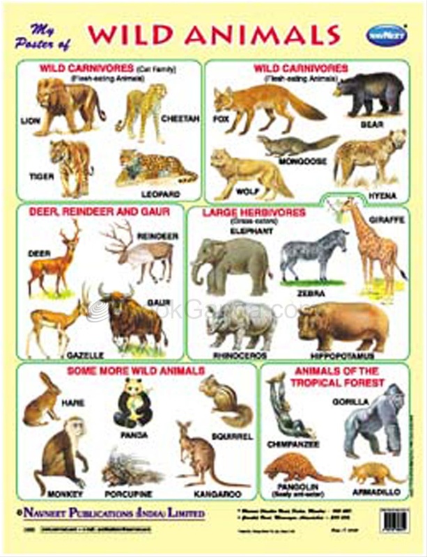 My poster Of Wild Animals - Navneet Education (India) Limited -  