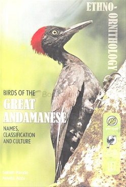 Birds Of The Great Andamanese