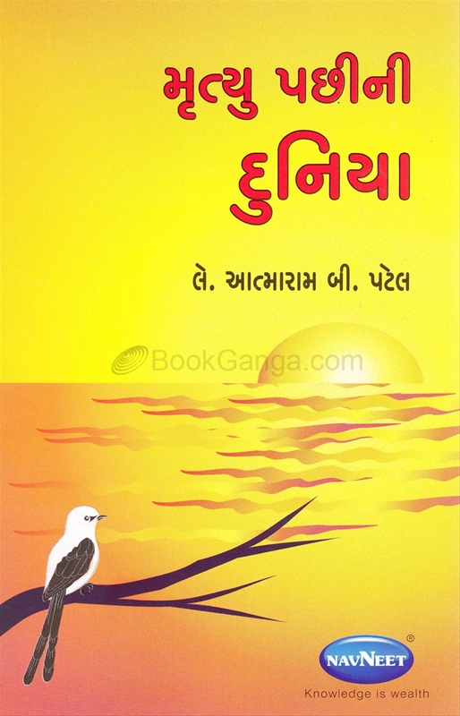 Mrutyu Pachini Duniya - મૃત્યુ પછીની દુનિયા