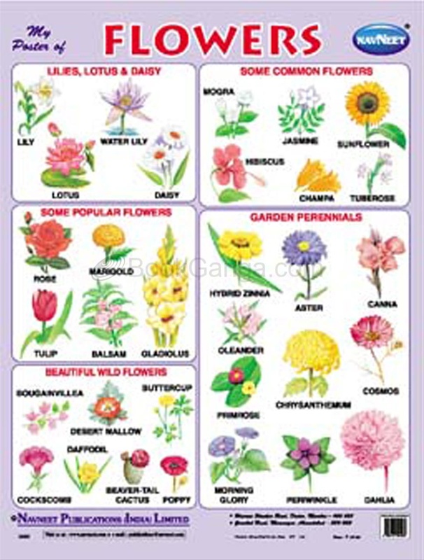 My Poster Of Flowers - BookGanga.com