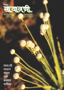 Milun Saryajani February 1996 - मिळून साऱ्याजणी फेब्रुवारी १९९६