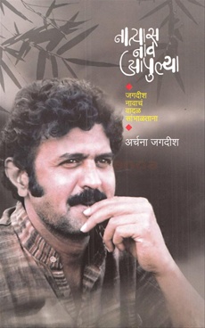Natyas Nav Apulya