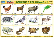Pick 'n' Stick Domestic And Pet Animals - 2 - Navneet Education (India) Limited Pick 'n' Stick Domestic And Pet Animals - 2 - Navneet Education (India) Limited
