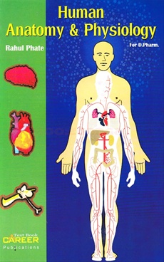 human anatomy and physiology drawing