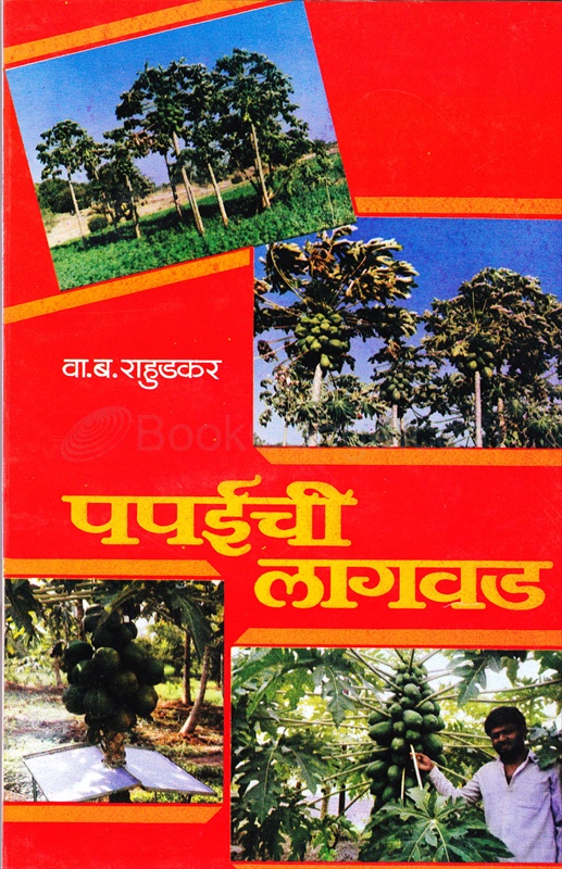 Papaichi Lagwad - पपईची लागवड