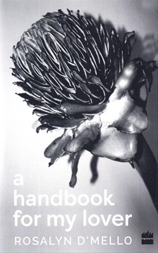 A Handbook for My Lover