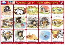 Animal And Their Shelter Chart