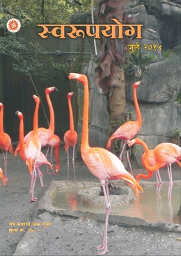 Swaroopyog July 2014 - स्वरूपयोग जुलै २०१४